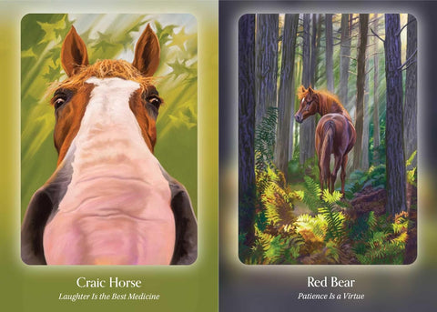 The Council of Horses Oracle cards Bear and Company