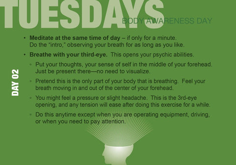 Build Your Psychic Skills: The 90-Day Plan Cards Deck Schiffer Publishing NEW