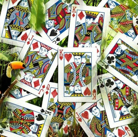 Infinity Playing Cards Deck Difatta D3Psy USpcc Magic Tricks Poker Parrot NEW