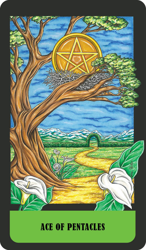 Mystical Realm Tarot Cards Deck Lisa Porter Rockpool Based On Raider-Waite NEW