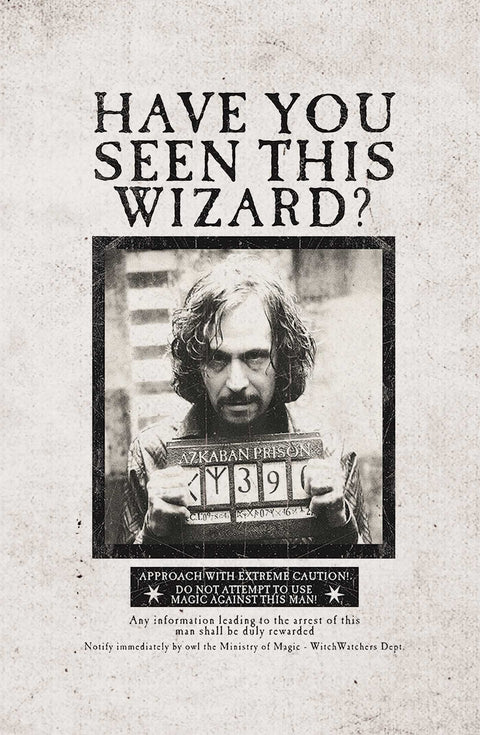 Harry Potter: Wanted Posters Pocket Notebook Collection (Set of 3)