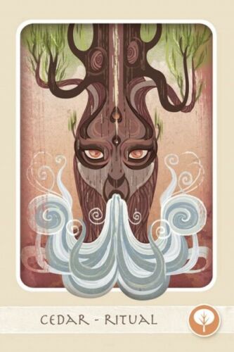 Herbal Healing Deck Cards Book Schiffer Publishing Baldwin Verkamp NEW