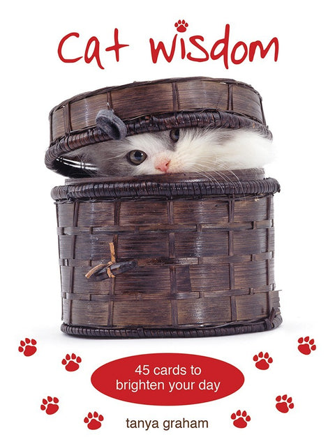 Cat Wisdom Cards Deck Inspirational Uplifting Tanya Graham Blue Angel NEW