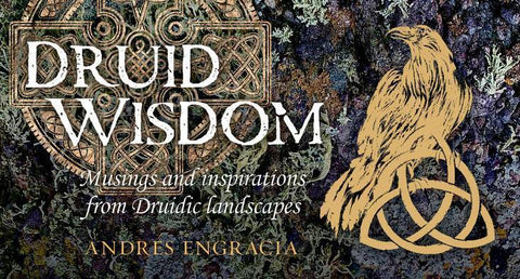 Druid Wisdom Inspiration Cards Deck Rockpool Publishing Andres Engracia NEW