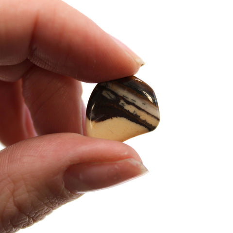 24 Small African Tumble Stones Picture Nguni Gemstone Amulet Ancient Wisdom NEW