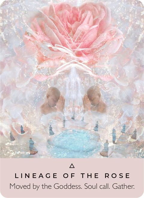 The Rose Pocket Oracle Cards By Hay House