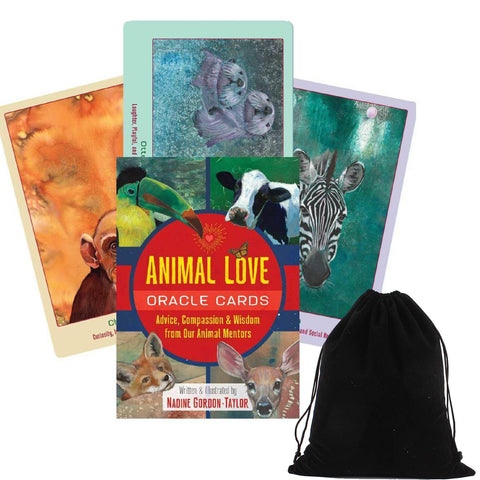 Animal Oracle Cards β Loving Messages for Insight, Comfort & Healing With Bag