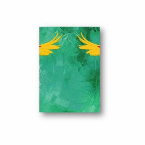 Infinity Playing Cards Deck Difatta D3Psy USpcc Magic Tricks Poker Parrot NEW