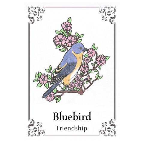 Sacred Bird Oracle Cards Deck Animal Dreaming Publishing Katha Sager Magic NEW