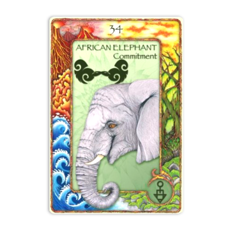 World Animal Dreaming Oracle Cards Deck Expanded Scott King Edition Esoteric NEW