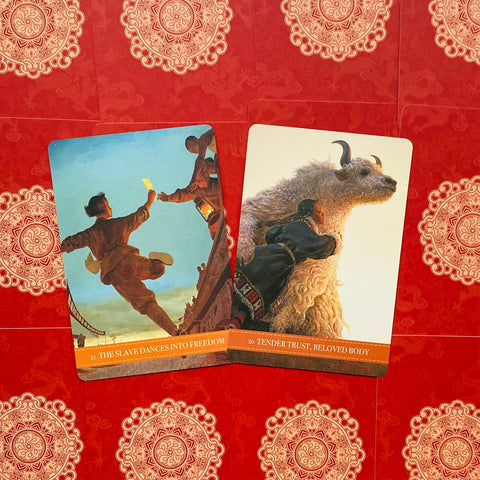 Wild Kuan Yin Oracle Cards Blue Angel Soul Guidance From The Wild NEW