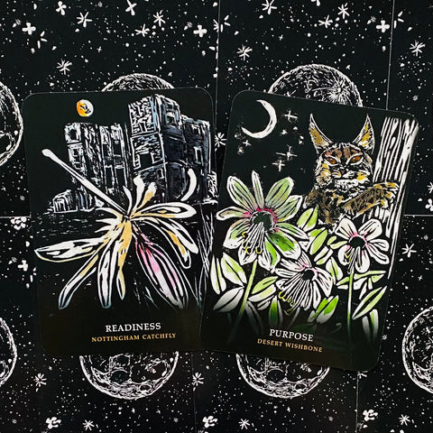 Flowers Of The Night Oracle Cheralyn Darcey Rockpool Publishing Inspiration NEW
