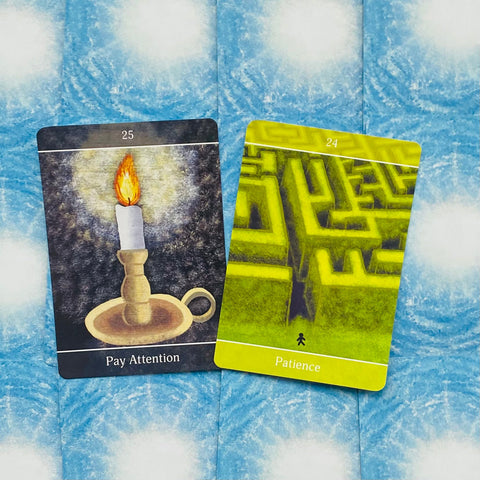 Beyond The Illusions Oracle Cards Deck Animal Dreaming By Timothy Nilsson NEW