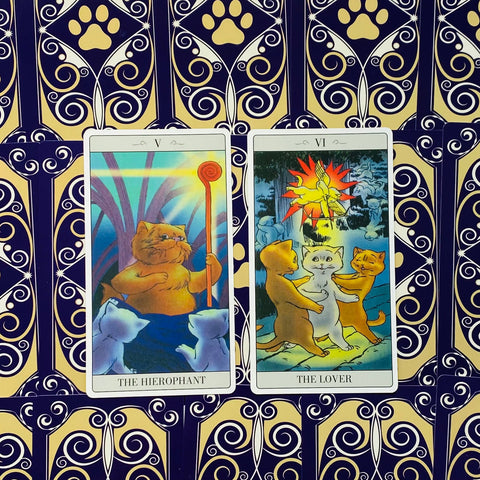 The Way Jodorowsky Explained Tarot To His Cat Deck Major Cards Lo Scarabeo NEW