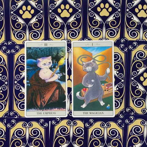 The Way Jodorowsky Explained Tarot To His Cat Deck Major Cards Lo Scarabeo NEW