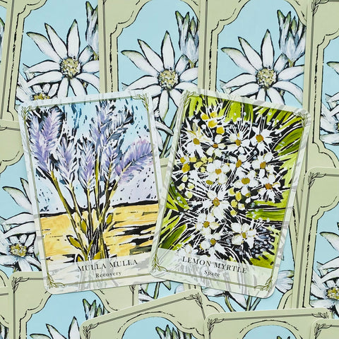 Australian Wildflower Reading Cards Deck Rockpool Cheralyn Darcey Guidebook NEW