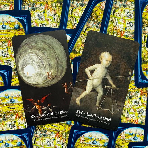 Hieronymus Bosch Tarot Cards Travis Mchenry Deck Shock Captivating Rockpool NEW