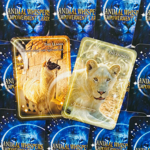 Animal Whispers Empowerment Cards Deck Esoteric Madeleine Walker Findhorn Fhp05