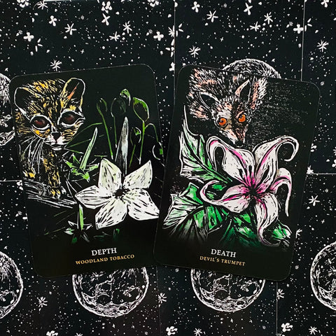 Flowers Of The Night Oracle Cheralyn Darcey Rockpool Publishing Inspiration NEW