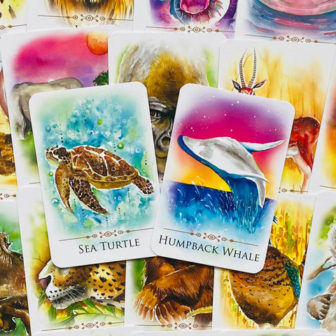 Spirit Animals Message Cards Deck Animal Dreaming Publishing Affirmations NEW