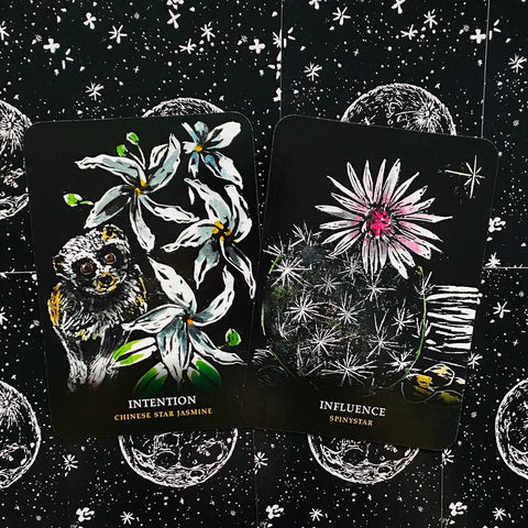 Flowers Of The Night Oracle Cheralyn Darcey Rockpool Publishing Inspiration NEW
