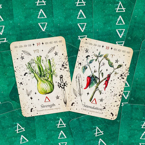 Green Witch Oracle Cards Deck Rockpool Esoteric Divination Cheralyn Darcey NEW