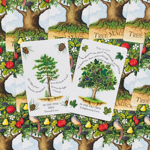The Tree Magick Oracle Cards Deck & Illustrated Book Cico Books Gillian Kemp NEW