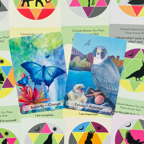 Enchanted Animal Oracle Cards Animal Dreaming
