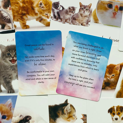 Cat Wisdom Cards Deck Inspirational Uplifting Tanya Graham Blue Angel NEW
