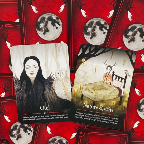 Seasons Of The Witch Samhain Oracle Cards Deck Rockpool J. Diaz L. Anderson NEW
