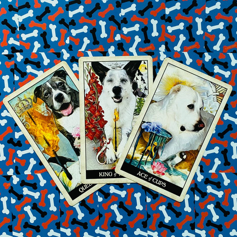 Wise Dog Tarot Cards Deck US Games Systems Mj Cullinane Esoteric 2020 NEW