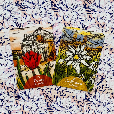 The Language Of Flowers Oracle Cards Deck Rockpool Cheralyn Darcey Esoteric NEW