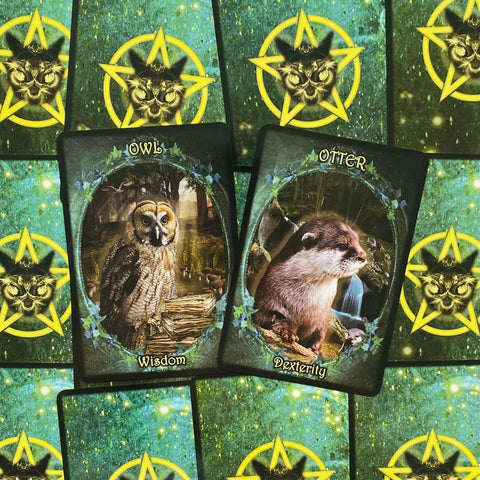 Witches Familiars Oracle Solarus Cards And Guidebook Set Kate Osborne NEW