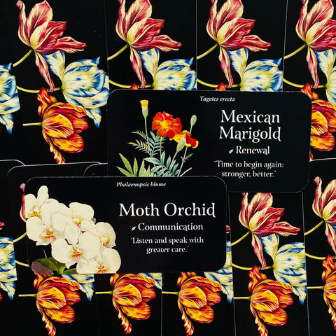 The Language Of Flowers Inspiration Cards Deck Rockpool Publishing Cheralyn NEW