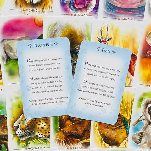 Spirit Animals Message Cards Deck Animal Dreaming Publishing Affirmations NEW