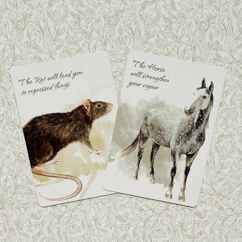 Power Animals Cards Deck Spirit Guides For Your Spiritual Life Esoteric Agm NEW