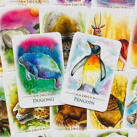 Spirit Animals Message Cards Deck Animal Dreaming Publishing Affirmations NEW
