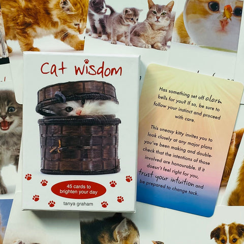 Cat Wisdom Cards Deck Inspirational Uplifting Tanya Graham Blue Angel NEW