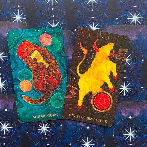 Oriens Animal Tarot Cards Deck Ambi Sun Nature Gift For Art Lovers Rockpool NEW