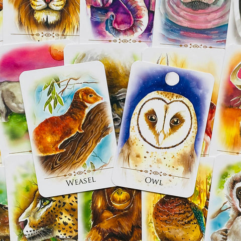 Spirit Animals Message Cards Deck Animal Dreaming Publishing Affirmations NEW