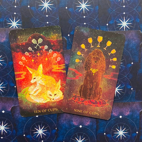 Oriens Animal Tarot Cards Deck Ambi Sun Nature Gift For Art Lovers Rockpool NEW