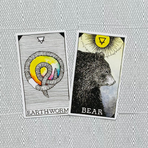Wild Unknown Animal Spirit Cards Deck And Guidebook Esoteric Harper One Hpo02