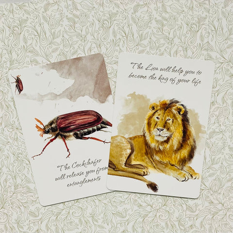 Power Animals Cards Deck Spirit Guides For Your Spiritual Life Esoteric Agm NEW