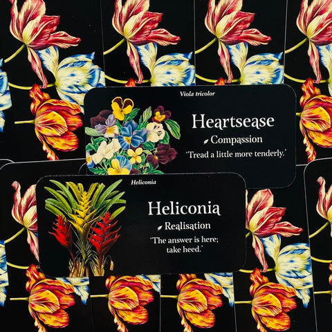 The Language Of Flowers Inspiration Cards Deck Rockpool Publishing Cheralyn NEW