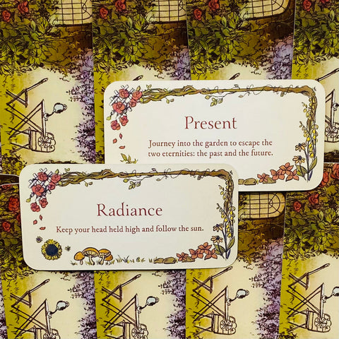 Secret Garden Cards Deck Rockpool Publishing Enchanting Messages Jessica Le NEW