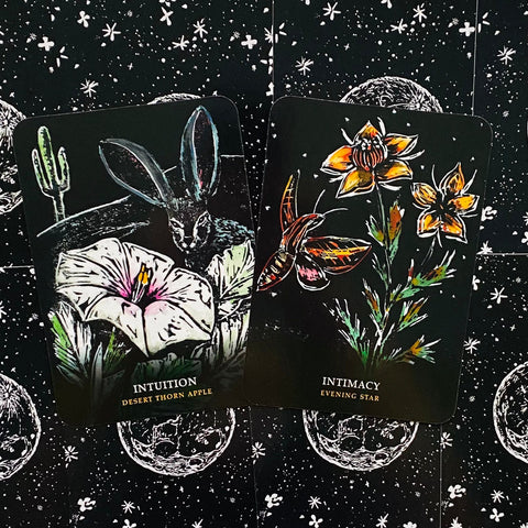 Flowers Of The Night Oracle Cheralyn Darcey Rockpool Publishing Inspiration NEW