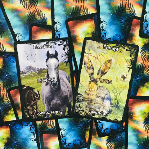 Animal Guidance And Aspects Oracle Cards Deck Solarus By Kate Osborne NEW