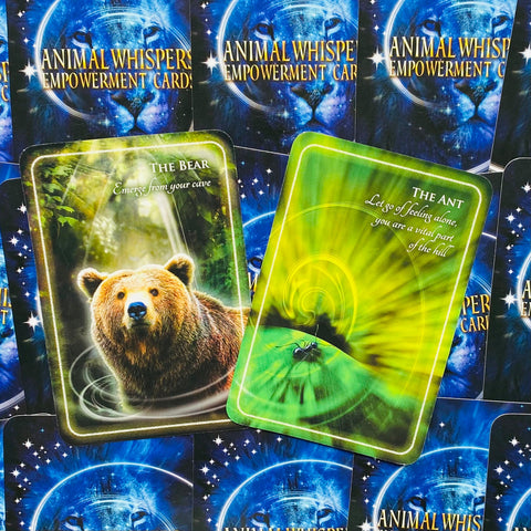 Animal Whispers Empowerment Cards Deck Esoteric Madeleine Walker Findhorn Fhp05
