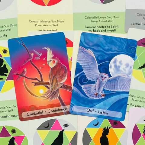 Enchanted Animal Oracle Cards Animal Dreaming