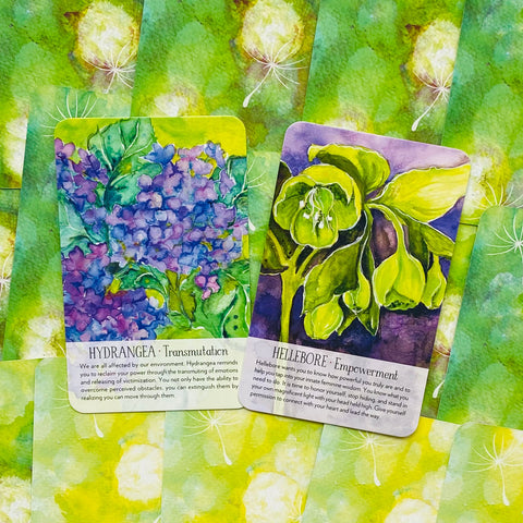 Soulflower Plant Spirit Oracle Cards Deck Findhorn Press Lisa Estabrook
